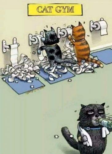 00:24:09 GMT+0000 (GMT).image