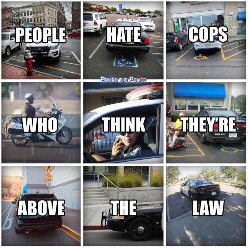 132056612_427873895209000_7496727787815253180_o