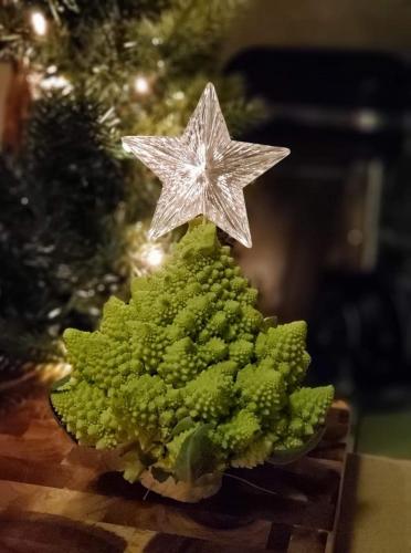 12:09:51 GMT-0700 (MST)