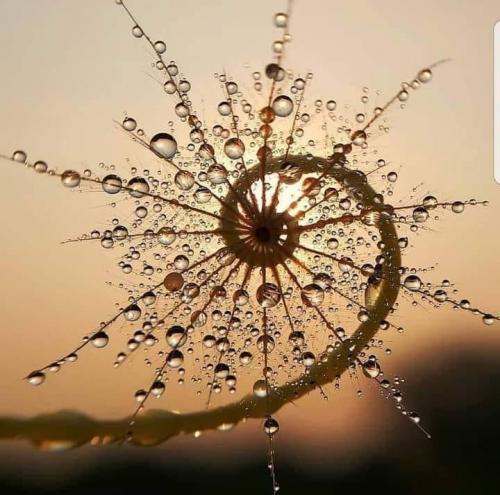 131448661_10226414266730032_7185990728233058636_n