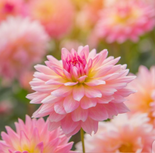 17:01:52 GMT+0100 (WAT).png