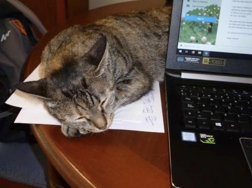 00:46:39 GMT+0100 (WAT).image