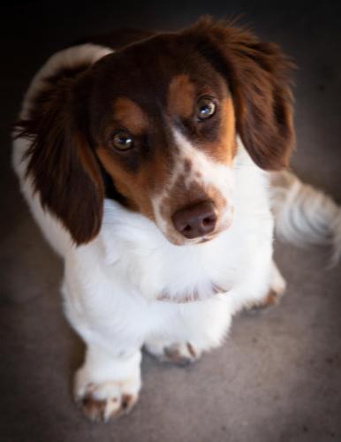 21:34:41 GMT-0700 (MST).image