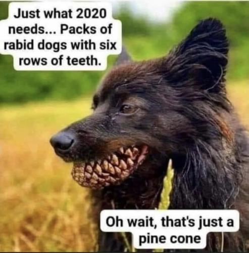 00:13:02 GMT-0800 (PST).image