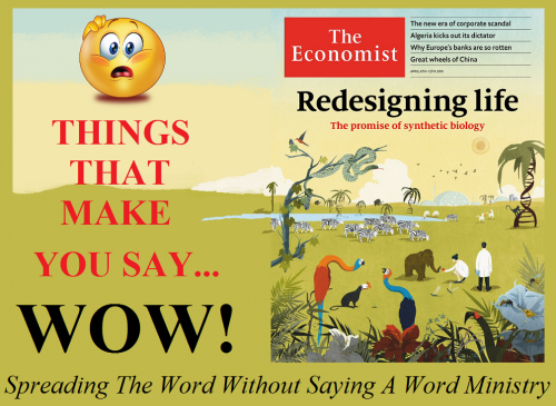 128174243_3762803333730504_130047166152600198_n