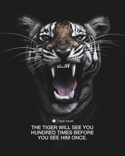 15:30:15 GMT-0600 (CST).image