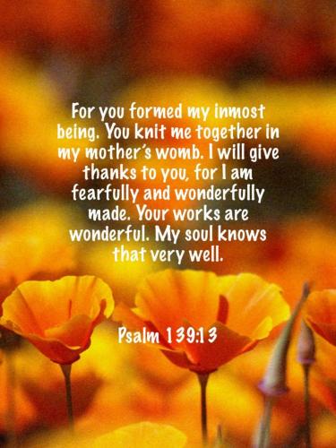 10:20:08 GMT-0500 (EST)