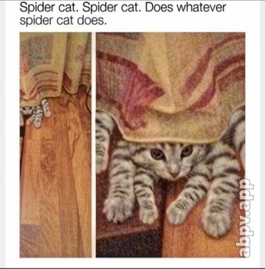 03:08:50 GMT-0600 (CST).image