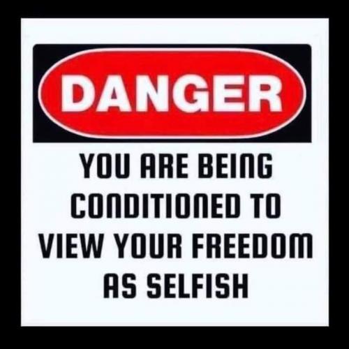 FB_IMG_1608078235266