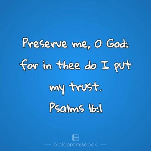 A5E4979A-EBD1-4C57-8282-1DCB8527E1B5