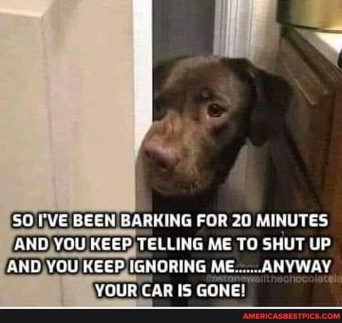 08:31:31 GMT-0600 (CST).image