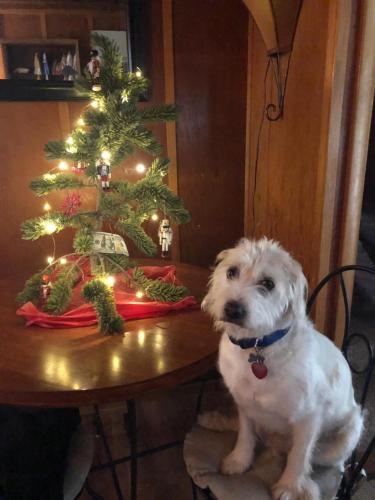 22:39:34 GMT+0100 (WAT)