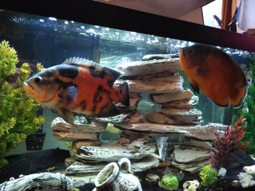 05:30:24 GMT-0600 (CST)