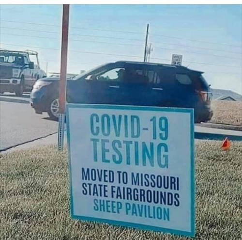 132321986_10208252642709021_175980205797741851_n