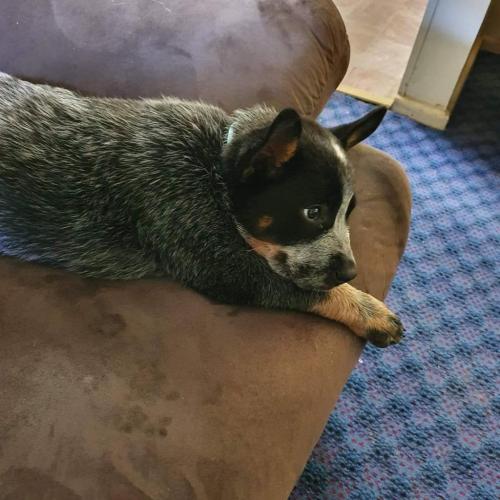 20:37:36 GMT+1100 (AEDT)