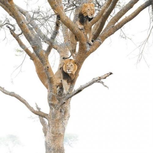 tumblr_c28c278e5f8a74c54b991367baf0b64b_246b00fa_540