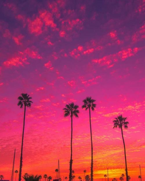 13:51:22 GMT-0500 (EST)