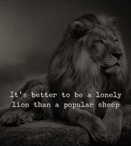 133624819_107714744572378_6058259249005637300_n