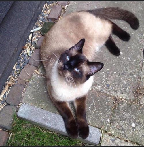 07:00:25 GMT-0500 (EST).image