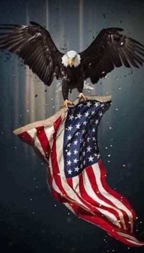 17:25:29 GMT-0500 (EST)