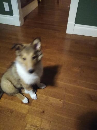 IMG_20201208_201501019