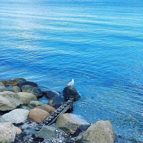 14:51:58 GMT+0100 (WAT).image