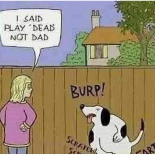 16:51:02 GMT-0500 (EST)