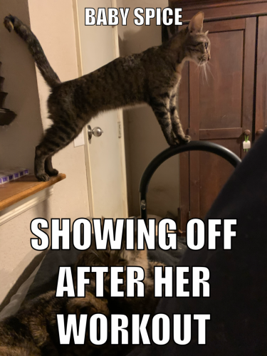 17:27:35 GMT-0600 (CST).image