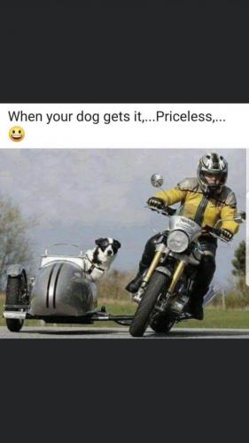 68C9C8D1-F9B3-42DF-BA90-C4C977E8149F-17125-00000D5A0FCAAFC1