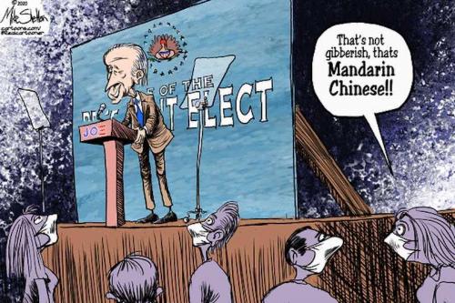 131454370_497943694506363_5611875576799082581_n