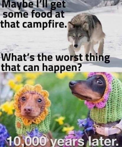 05:58:45 GMT+1000 (AEST)