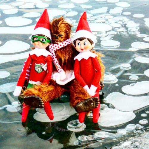 Elf on a shelf at Abraham Lake