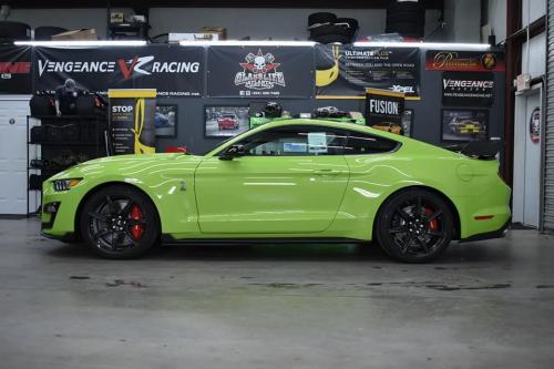 128523900_1445197885690869_4065096565337069426_n