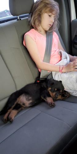 15:43:45 GMT-0800 (PST)