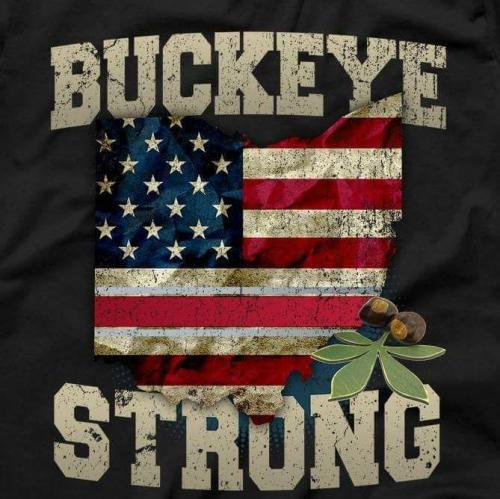 16114071_1381703215215919_2464462045610689882_n