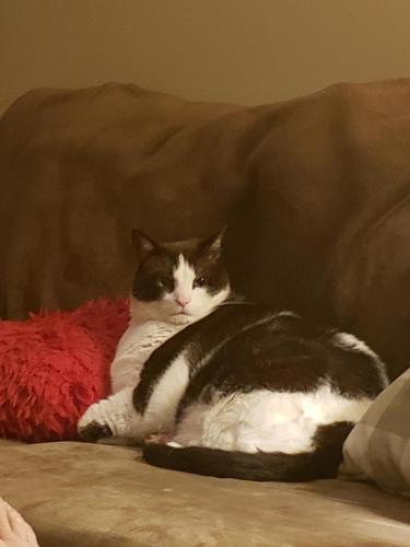 15:00:56 GMT-0600 (CST)