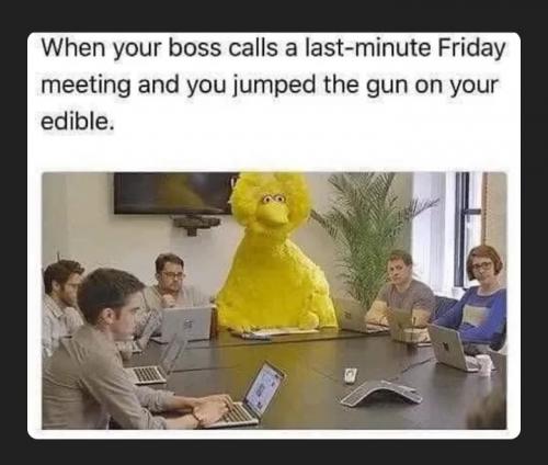 13:38:01 GMT-0600 (CST)