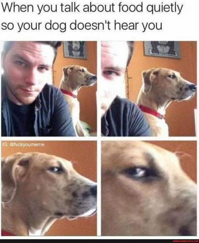 21:11:16 GMT-0600 (CST).image