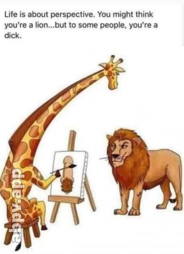 00:42:03 GMT-0600 (CST).image