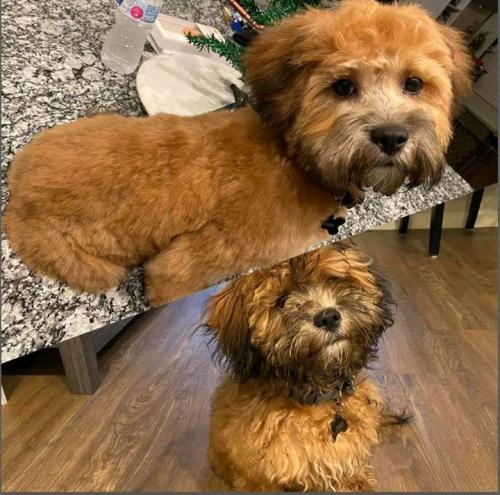 06:39:01 GMT+0100 (WAT)