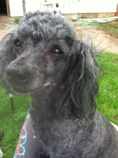 14:14:55 GMT-0600 (CST)