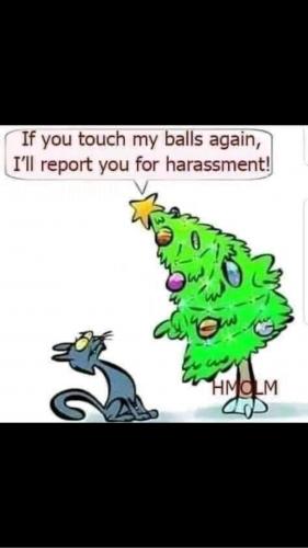 23:24:39 GMT-0600 (CST)