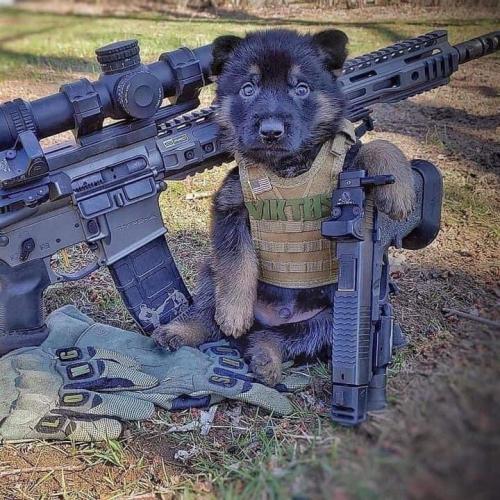 11:30:46 GMT-0600 (CST).image