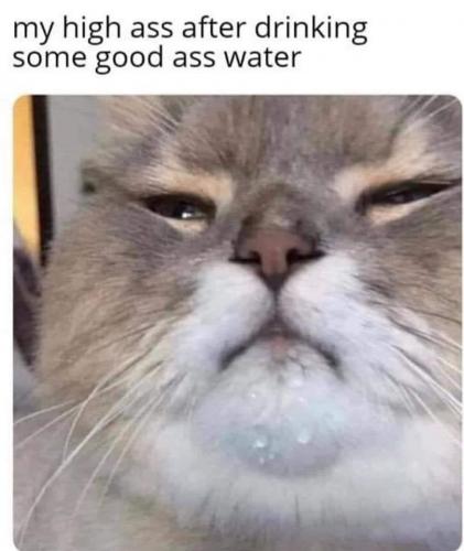 08:08:23 GMT-0500 (EST).image