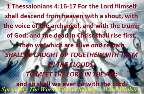 131130939_951948775331697_5836965056899867694_n