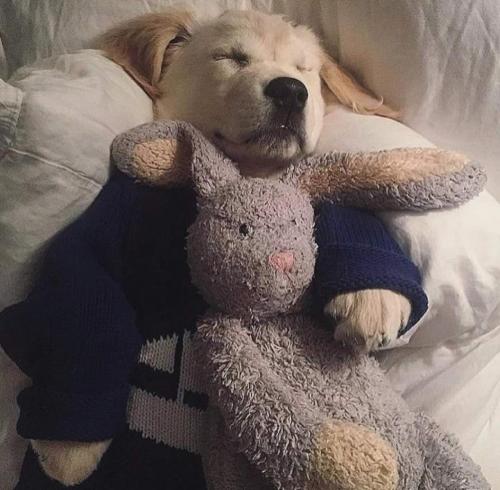 20:05:10 GMT-0600 (CST)