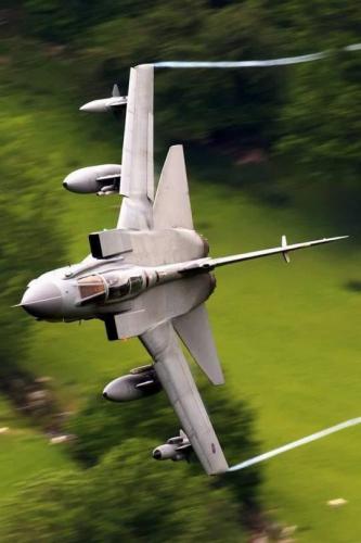 tumblr_f9e9051930dda82191a3fff0a20d69b3_dadec3a2_540