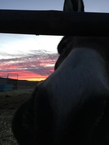 20:11:43 GMT-0800 (PST).image