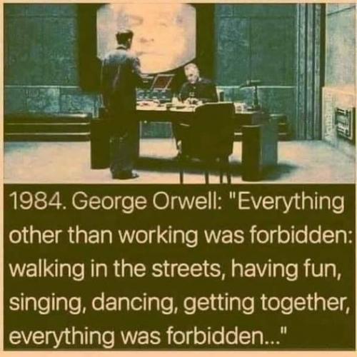 orwell B