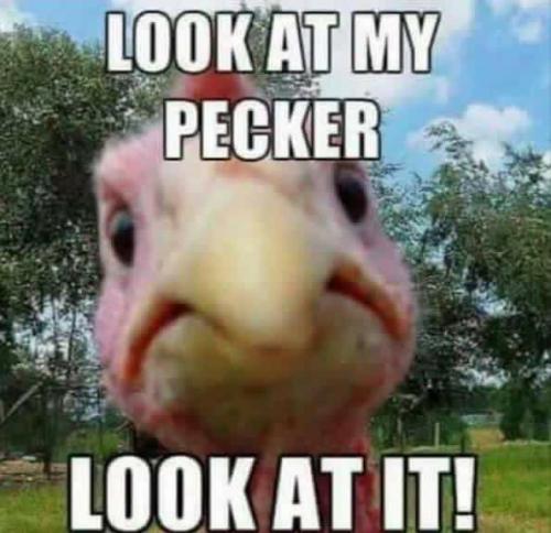 15:30:58 GMT-0600 (CST).image